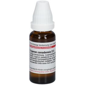 DHU Erigeron Canadensis D6