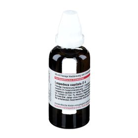 DHU Lespedeza Capitata D4