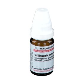 DHU Collinsonia Canadensis D12