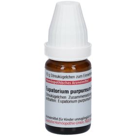 DHU Eupatorium Purpureum D6