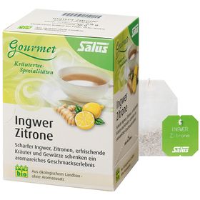 Salus® Gourmet Ingwer Zitrone