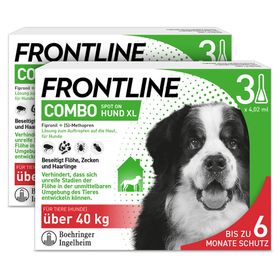 FRONTLINE COMBO® Spot on gegen Flöhe und Zecken Hund XL über 40kg