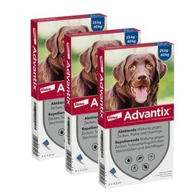 Advantix Spot-On 400 für große Hunde bis 40 kg Körpergewicht gegen Zecken, Flöhe und fliegende Insekten, bis zu 4 Wochen Wirksamkeit