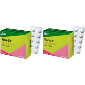Floradix® Eisen 100 mg Forte