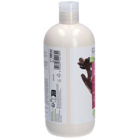 SANTE Naturkosmetik GLOSSY SHINE SHAMPOO BIRKE