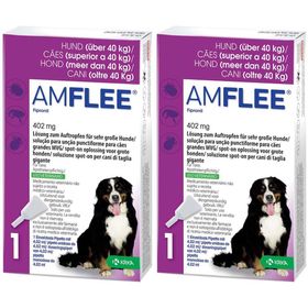 Amflee® 402 mg Lösung zum Auftropfen für Hunde