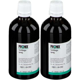 Phönix Solidago spag.