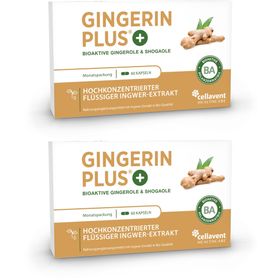 GINGERIN PLUS® Ingwer Kapseln