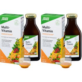 Salus® Multi-Vitamin Energetikum*