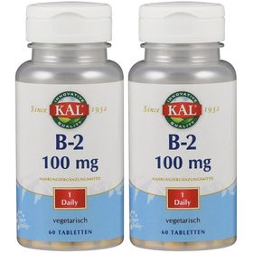 Vitamin B2 Riboflavin 100 mg