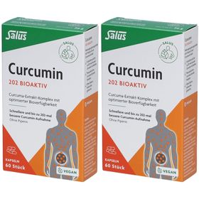 Curcumin 202 Bioaktiv Kapseln mit Vitamin D und Curcuma-Extrakt