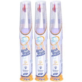 PushBrush 2-in-1 Zahnbürste