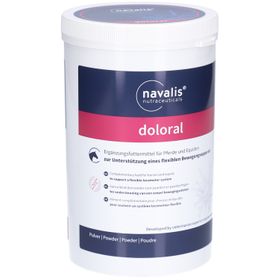 navalis doloral horse