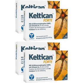 Keltican® forte Kapseln mit Uridinmonophosphat (UMP), Vitamin B12 und Folsäure zur Unterstützung der Nervenregeneration