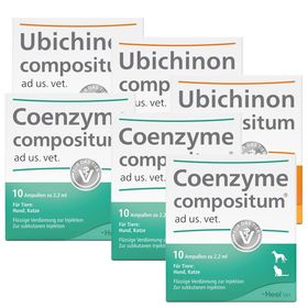 Solidago compositum ad us. vet. Ampullen + Ubichinon compositum ad us. vet. Ampullen + Coe