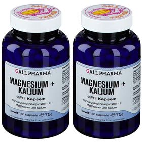 GALL PHARMA Magnesium + Kalium