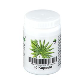 Bioxera® Sägepalme N