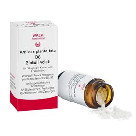 WALA® Arnica E Planta tota D 6 Globuli