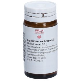 WALA® Equisetum ex herba D 3