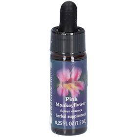 Pink Monkeyflower / Rosa Gauklerblume Tropfen