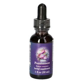 F.E.S. – Penstemon / Bartfaden Tropfen