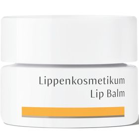 Dr. Hauschka® Lippenkosmetikum