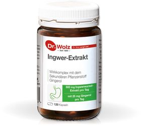 Ingwer-Extrakt