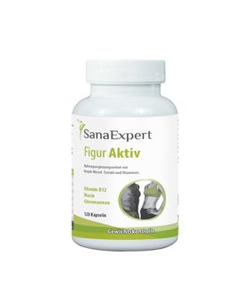 SanaExpert Figur Aktiv