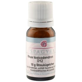SPAGYRA Rhus toxicodendron D12