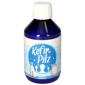 Kefir-Pilz