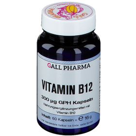 Hecht Vitamin B12 300 µg GPH