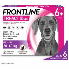 FRONTLINE TRI-ACT® gegen Zecken, Flöhe und fliegende Insekten beim Hund (20-40kg) + Fellpflege-Handschuh für Haustiere GRATIS
