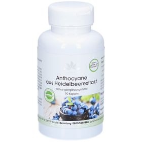 Warnke Anthocyane aus Heidelbeerextrakt