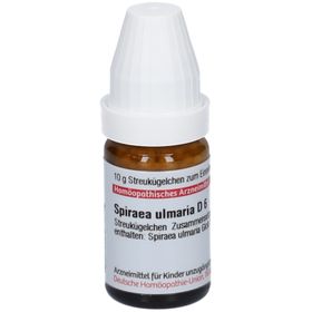 DHU Spiraea ulmaria D6