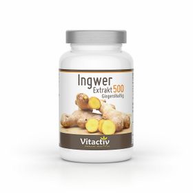 Vitactiv Ingwer Extrakt 500
