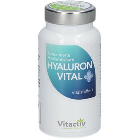 Vitactiv HYALURON VITAL PLUS Kapseln