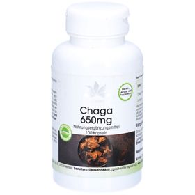 Warnke Chaga 650 mg