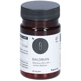 BALDRIAN – Valeriana officinalis L.