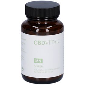 CBD VITAL Shilajit– Mineralienkomplex mit Mumijo & Magnesium