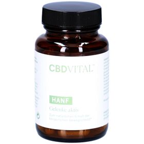 CBD VITAL Hanf Gelenke aktiv – Weihrauch, MSM & Teufelskralle