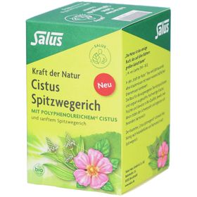 Salus® CISTUS SPITZWEGERICH Tee Bio Filterbeutel