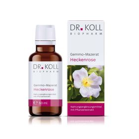Gemmo-Mazerat Heckenrose Dr. Koll