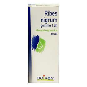 BOIRON® Ribes Nigrum Gemme 1 dh