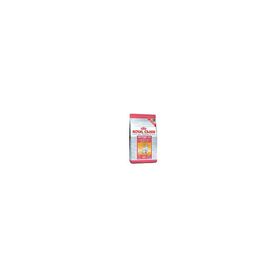 Royal Canin Feline Kitten