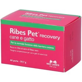 NBF Lanes Ribes Pet Recovry Cane e Gatto