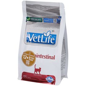 Trockenfutter Farmina VetLife Gastrointestinal - Katze Adult