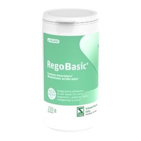 Pegaso® RegoBasic
