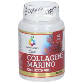 Colours of Life® Collagene Marino Idrolizzato Puro