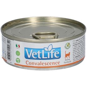 Nassfutter Farmina VetLife Convalescence - Cat Adult