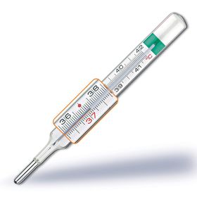 Gallio Vedoeco Plus Pic Thermometer